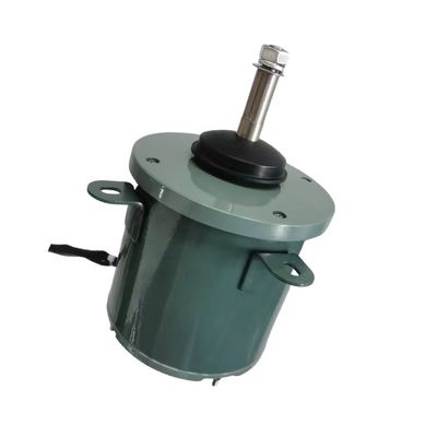 220 V jednofazowy bezszczotkowy silnik pompy BLDC 100 W-750 W do komercyjnej pompy ciepła