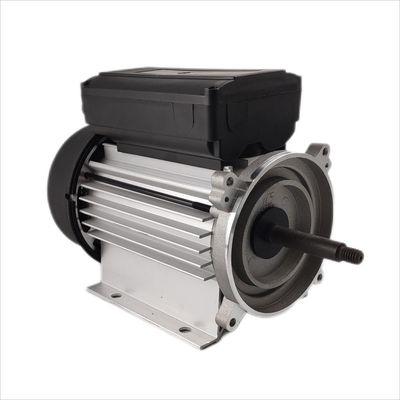 Silnik zatapialny 300-500 W Jednofazowy elektryczny 1 KM 3000 obr./min do pomp obiegowych