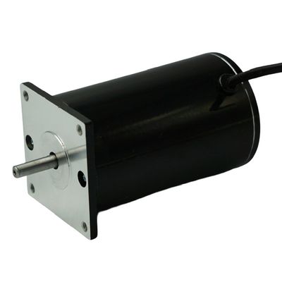 24V 48V Szczotkowany silnik prądu stałego z magnesami trwałymi 30-300W 76ZYT do bramki obrotowej Inteligentny kołowrót