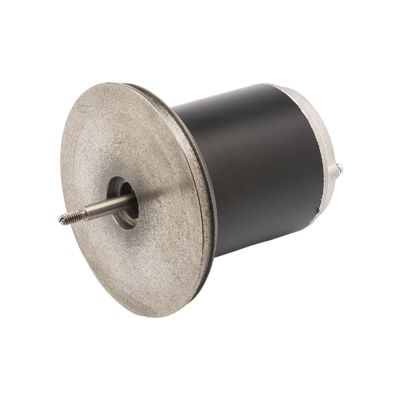 83ZYT 110-220V 300w Mikrosilnik z magnesem trwałym do maszyny do piłek tenisowych