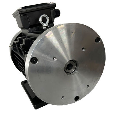 Y100 112 132 Silnik bezszczotkowy stałego magnesu stałego prądu stałego dla hydraulicznie sterowanej ciężarówki AGV
