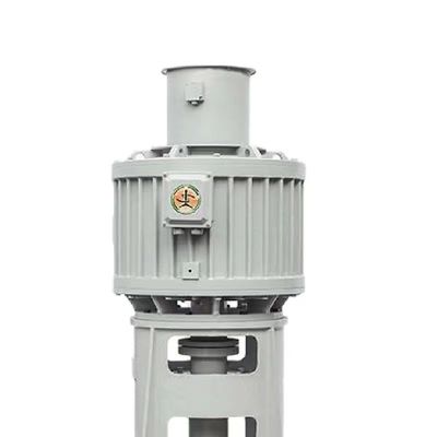 IE4/IE5 AC BLDC Motor 1 380/660v Do zastosowań przemysłowych Do dużych mikserów